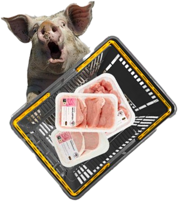 Wakker Dier (Young&nbsp;Dogs)